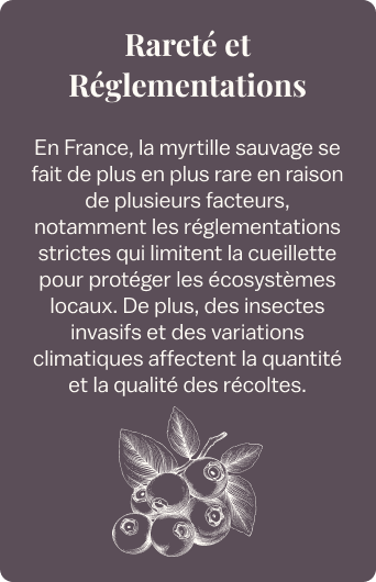 Information 1